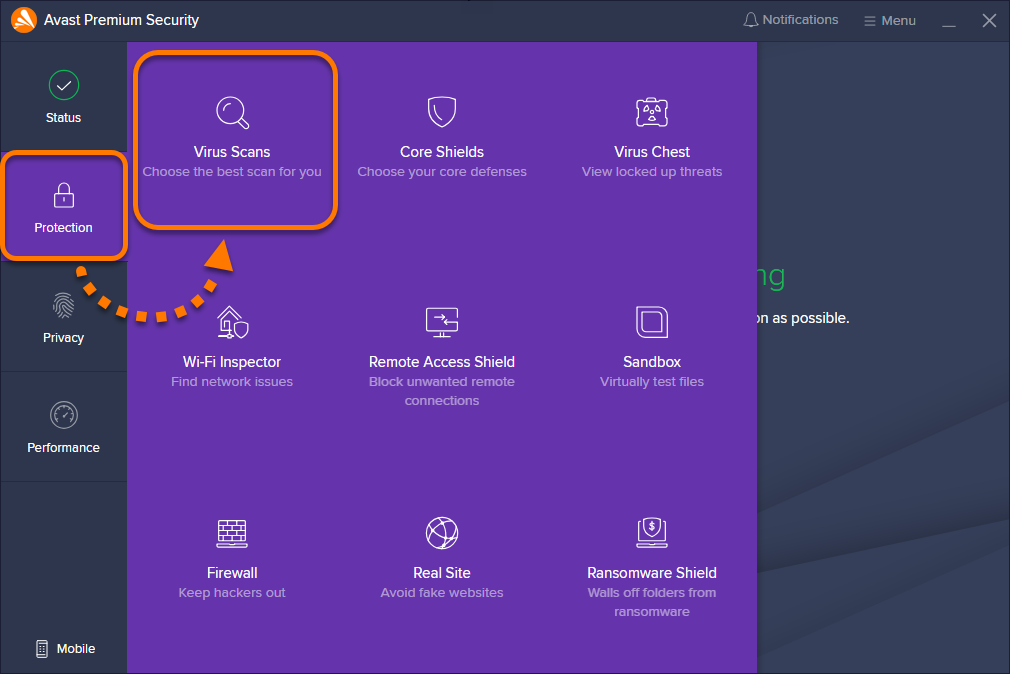 avast scan report file location