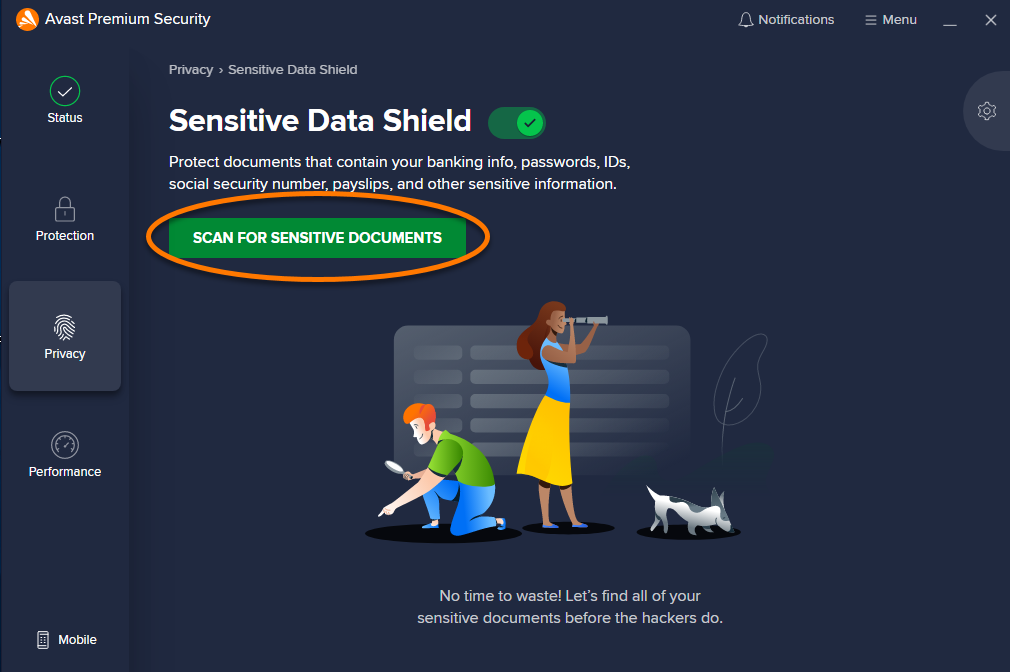 does avast pro file system shield show constant activity